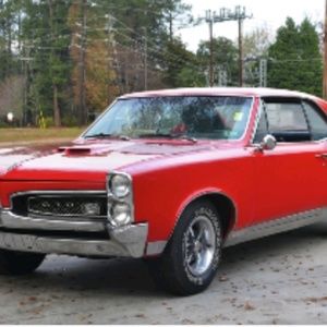 Meet your Posher, Troy